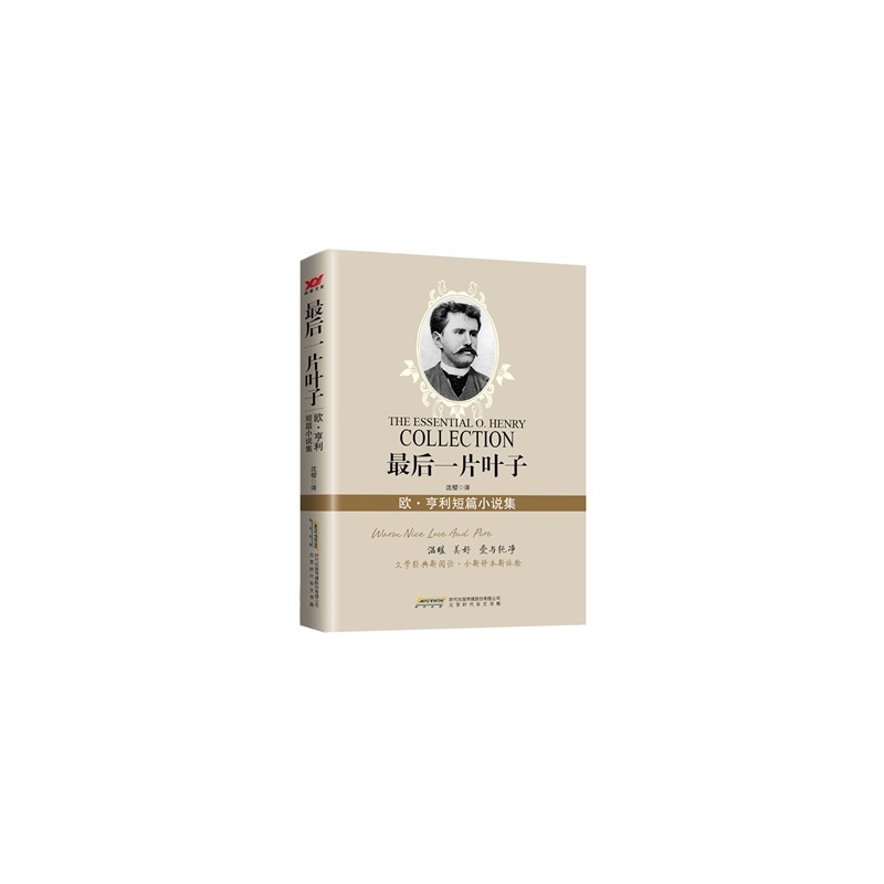 最后一片叶子手抄报