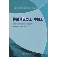 桥梁预应力工 中级工