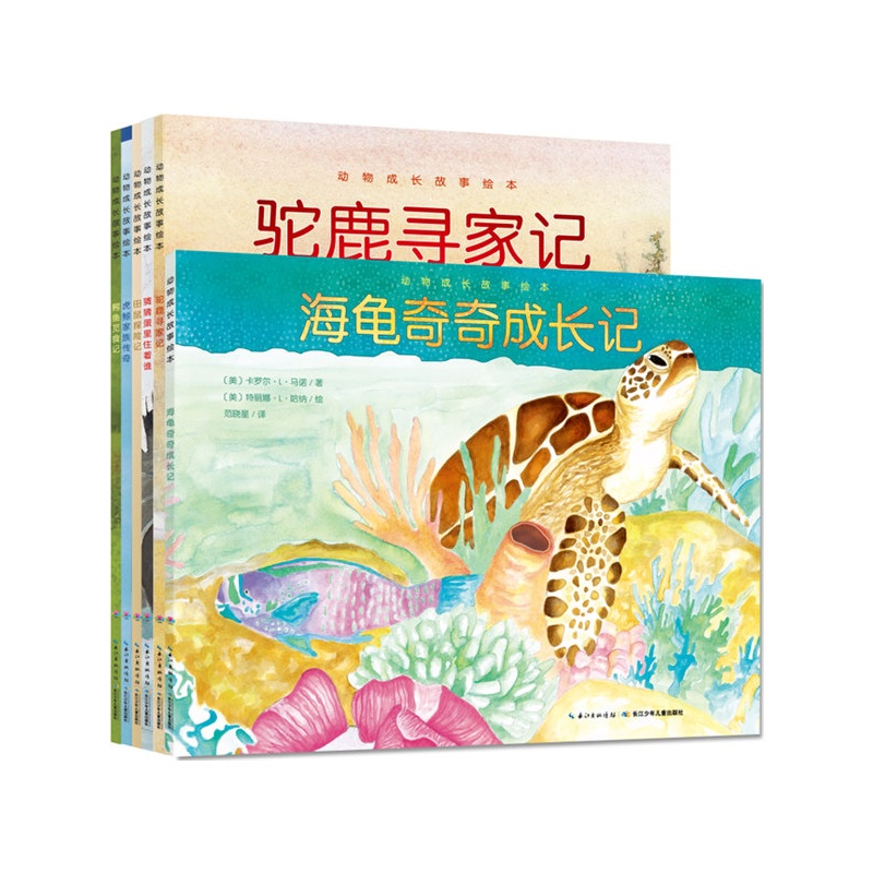 你知道什么是虎鲸吗?你知道虎鲸以什么为食吗?世界上最长寿的虎鲸族长是谁吗? 短吻鳄为什么要躲猫猫?小田鼠在它的田野探险之旅中都遇到了什么趣事,动物会互助吗?驼鹿小弟如何靠大地之声找到回家的路?海龟在珊瑚礁间的生活如何? 快到这套超级有趣的科普图画书《动物成长故事绘本》里寻找答案吧! 《动物成长故事绘本》是一套6本书组成的科普故事绘本:太平洋中遨游的虎鲸,大草原上探头的田鼠,小镇边缘生活的驼鹿,珊瑚礁中嬉戏的海龟,沼泽中潜伏的鳄鱼,神秘的孵蛋者。 动物们分别通过自己的历险故事,让我们看见它们生活的环境,了