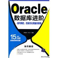 Oracle数据库进阶——高可用性、性能优化和备份恢复（配光盘）