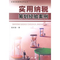实用纳税筹划经验案例/实用经典案例系列丛书