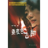 乘夜色飞翔