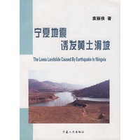 宁夏地震诱发黄土滑坡