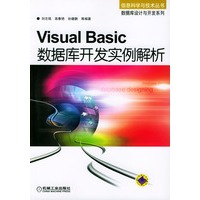 visual basic 数据库开发实例解析(含光盘)