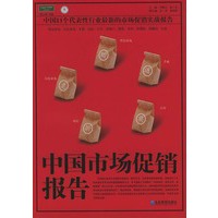 中国市场促销报告