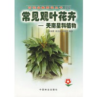 常见观叶花卉：天南星科植物——百花盆栽图说丛书