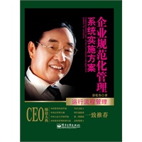 企业规范化管理系统实施方案-运行流程管理