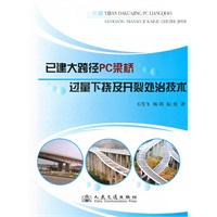 已建大跨径PC梁桥过量下挠及开裂处治技术