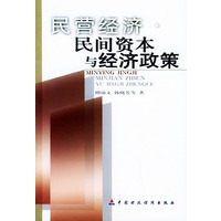 民营经济、民间资本与经济政策