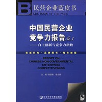 中国民营企业竞争力报告