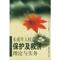 未成年人权益保护及救济理论与实务
