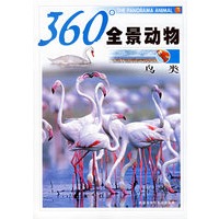 360度全景动物：鸟类