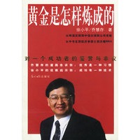 黄金是怎样炼成的：对一个成功者的赏析与非议