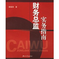 财务总监实务指南