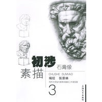 初涉素描3：石膏像