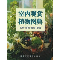 室内观赏植物图典：品种·搭配·栽培·管理（精装）