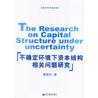不确定环境下资本结构相关问题研究