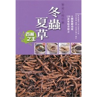 餐桌上的中藥---冬蟲夏草
