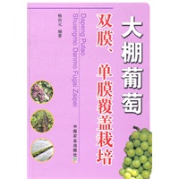 大棚葡萄双膜.单膜覆盖栽培