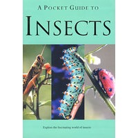 昆虫袖珍指南A Pocket Guide to Insects