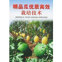 精品瓜优质高效栽培技术
