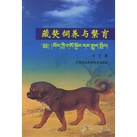 藏獒饲养与繁育