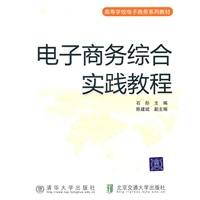 电子商务综合实践教程（高等学校电子商务系列教材）