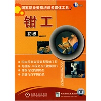 钳工（初级）2CD-R