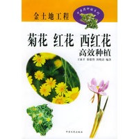 菊花、红花、西红花高效种植