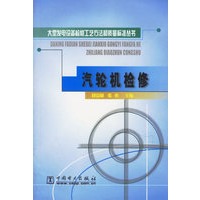 汽轮机检修/大型发电设备检修工艺方法和质量标准丛书