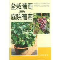 盆栽葡萄与庭院葡萄