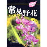 常见野花：大自然珍藏系列