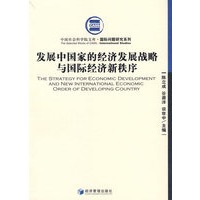 发展中国家的经济发展战略与国际经济新秩序