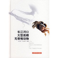 长江河口大型底栖无脊椎动物