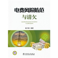 供电企业常见法律风险防范与处理丛书 电费风险防范与清欠
