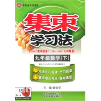 九年级数学（下）人教实验版（2010年8月印刷）集束学习法