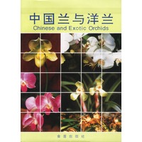 中国兰与洋兰