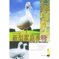 新型家庭养鸭