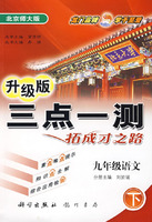 三点一测丛书：九年级语文（下）（北京师大版升级版）