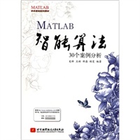 MATLAB智能算法30个案例分析