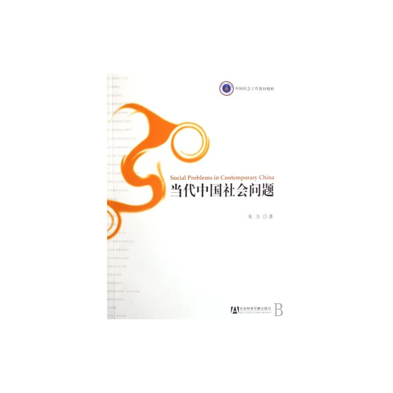 【当代中国社会问题中国社会工作教材精粹 正