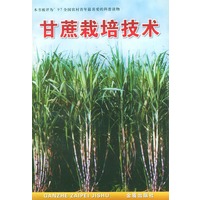 甘蔗栽培技术