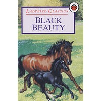 黑美人'Black Beauty