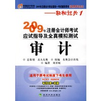 2009年注册会计师考试应试指导及全真模拟测试（适用原考试办法）：审计——轻松过关1