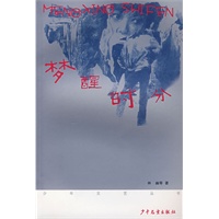 《少年文艺》丛书第二辑 梦醒时分