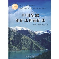 中国新疆铜矿床和镍矿床