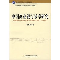 中国商业银行效率研究