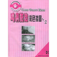 鸡病防治彩色挂图(1\2）——农业病虫害防治彩色挂图系列