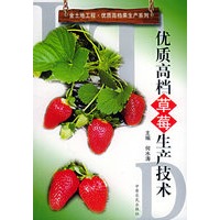 优质高档草莓生产技术——金地地工程·优质高档果生产系列