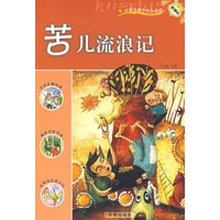 苦儿流浪记：新课标小学课外快乐阅读